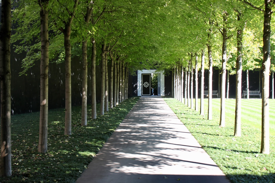 Landscaping & Gardening-1